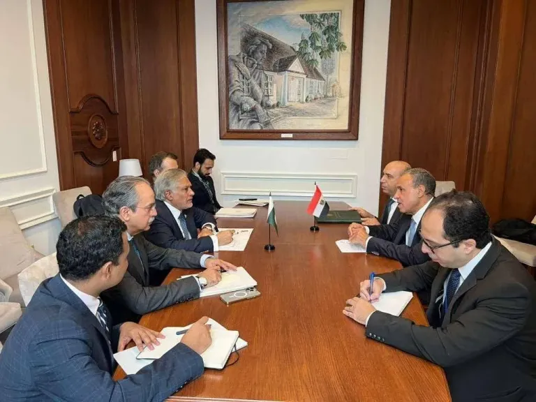 وزيرا الخارجية المصري والباكستاني يلتقيان في نيويورك ويبحثان تطوير العلاقات الثنائية