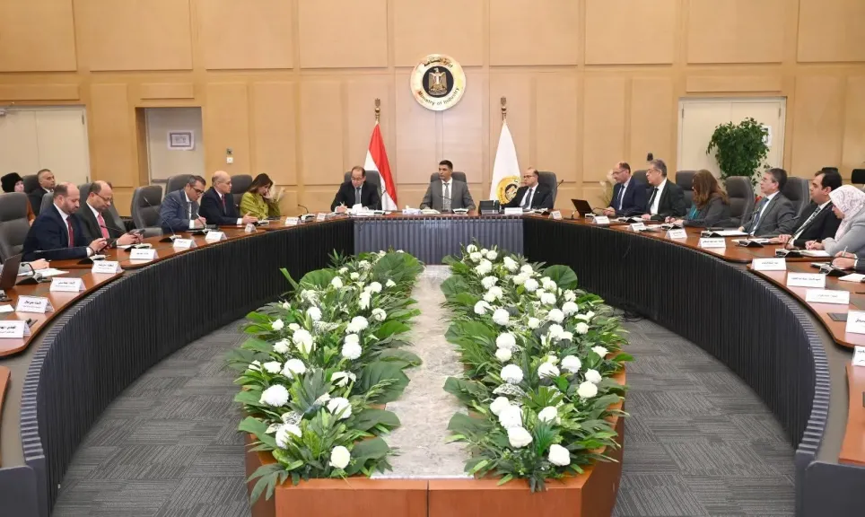 وزير الصناعة يبحث مع وزيري الاستثمار والمالية محاور البرنامج الوطني لتنمية صناعة السيارات