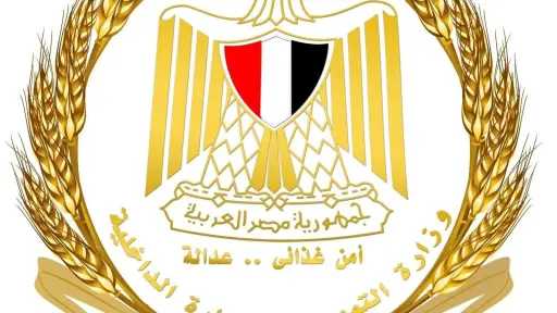 وزير التموين: لا مساس بسعر رغيف الخبز البلدي المدعم وسيظل بـ20 قرشًا