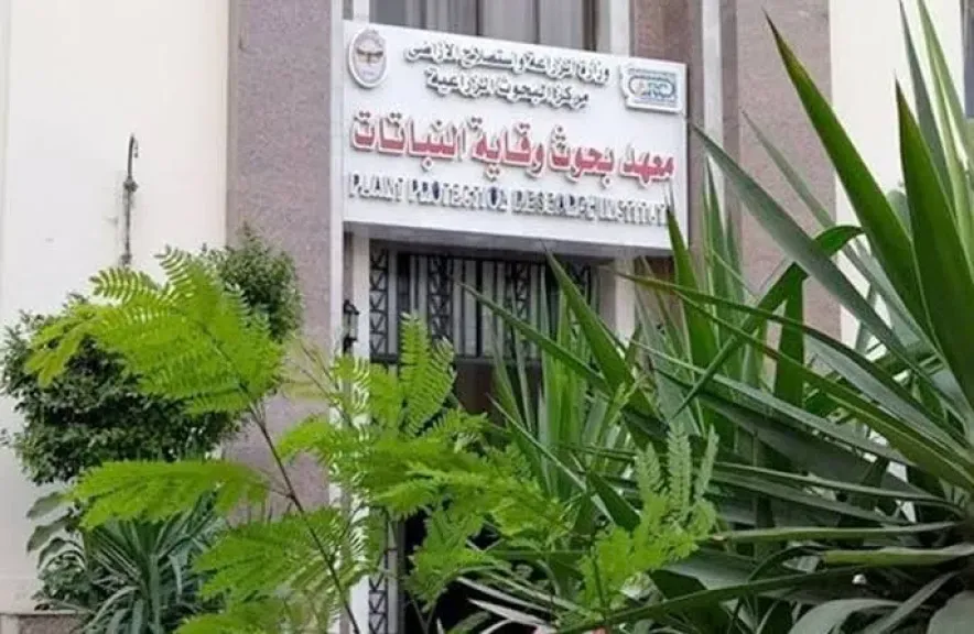 الزراعة تطلق مبادرة مجتمعية رائدة لتأهيل الشباب من ذوي الهمم اقتصاديا في مجال المكافحة الحيوية