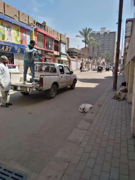 محافظ الغربية يتابع حملات الطب البيطري لتحصين الكلاب الحرة