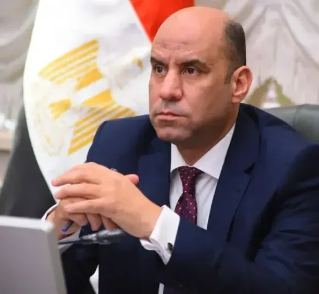 وزير العمل يبحث تعزيز التعاون مع منظمة العمل الدولية ودعم تطبيق قانون العمل الجديد