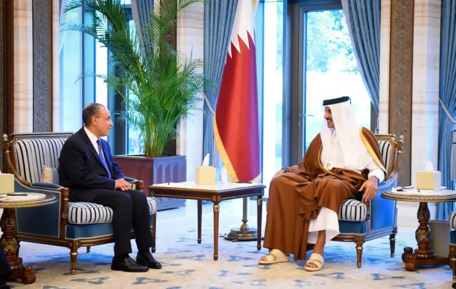 وزير الخارجية ينقل رسالة دعم كامل وتضامن مصر التام إلى سمو أمير دولة قطر