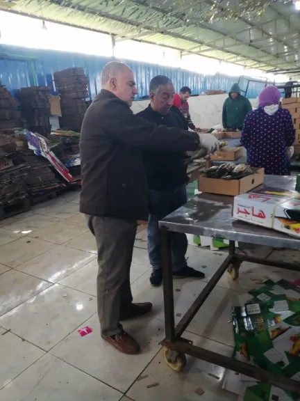 محافظ الغربية يتابع جهود مديرية الطب البيطري استعدادًا لعيد الفطر