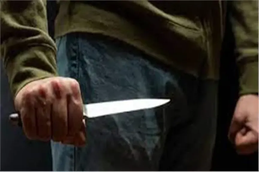 حفيد ينهي حياة جدته طعنا داخل منزلها في المنوفية