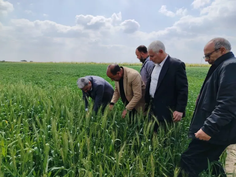 الزراعة: تستعرض جهود ”استصلاح الأراضي” خلال النصف الأول من مارس