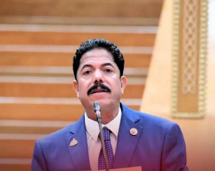 النائب علاء الحديوي: تحركات الرئيس السيسي تعكس ثقل مصر الإقليمي ودورها الحاسم في حماية الأمن العربي