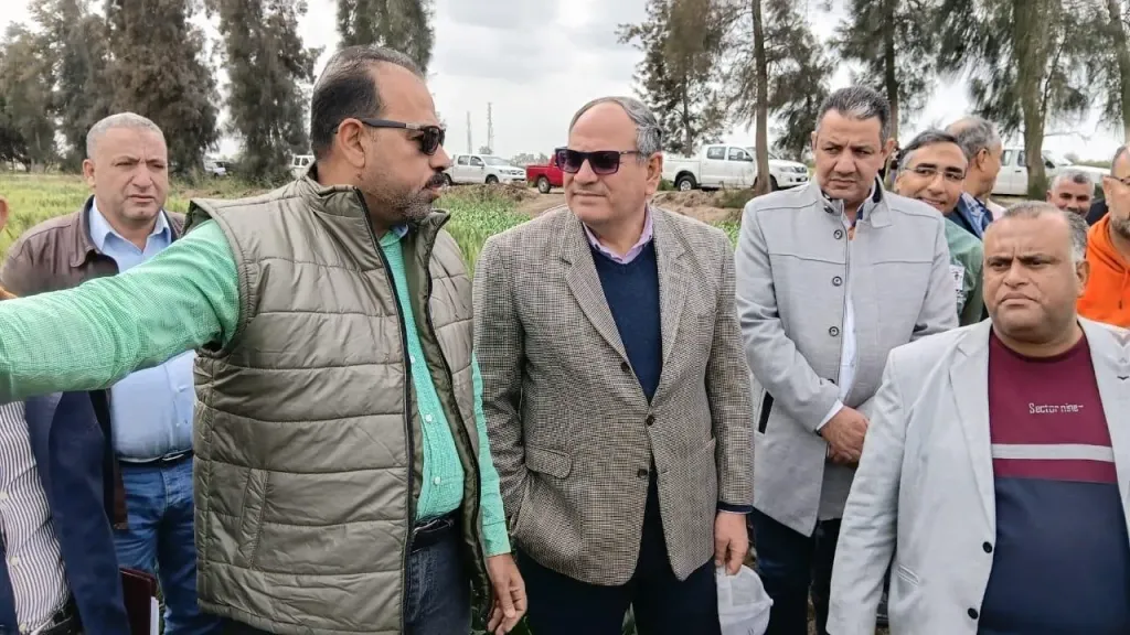الزراعة: تتابع الاستعداد المبكر لزراعة القطن بكفر الشيخ