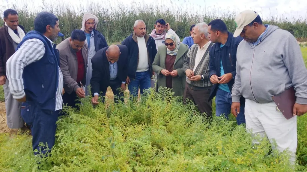 الزراعة: تتابع برامج إنتاج التقاوي والمحاصيل الاستراتيجية بمحطة النوبارية