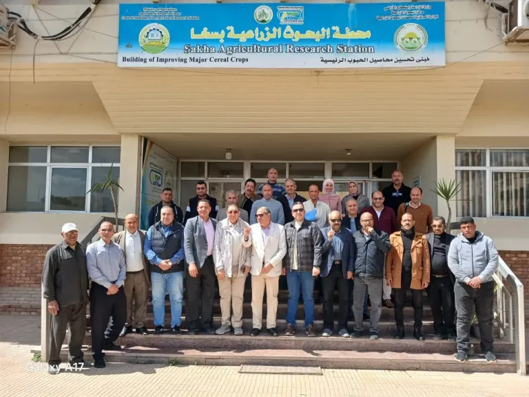 رئيس البحوث الزراعية.. يتفقد محطة بحوث سخا لمتابعة الأنشطة البحثية لتطوير المحاصيل الاستراتيجية