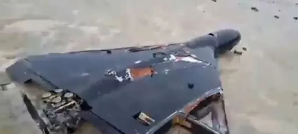 الجيش الإيراني: تدمير طائرتين مسيرتين للعدو في قشم وكرمان