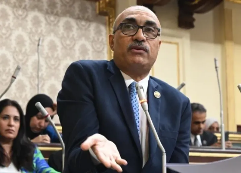 النائب إيهاب منصور ينتقد رفع أسعار تذاكر المترو والقطارات