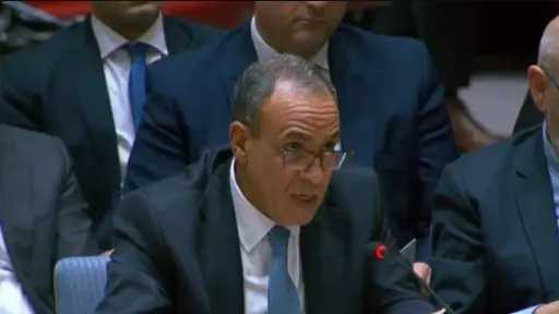 وزير الخارجية بدر عبد العاطي يتوجه لإسلام آباد للمشاركة في الاجتماع الرباعي لمناقشة التصعيد العسكري بالمنطقة