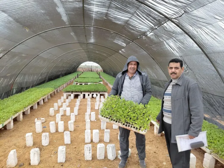 الزراعة” تكثف جولاتها لمتابعة الصوب ودعم مزارعي الخضر والفاكهة بـ ”الجيزة والبحيرة والنوبارية