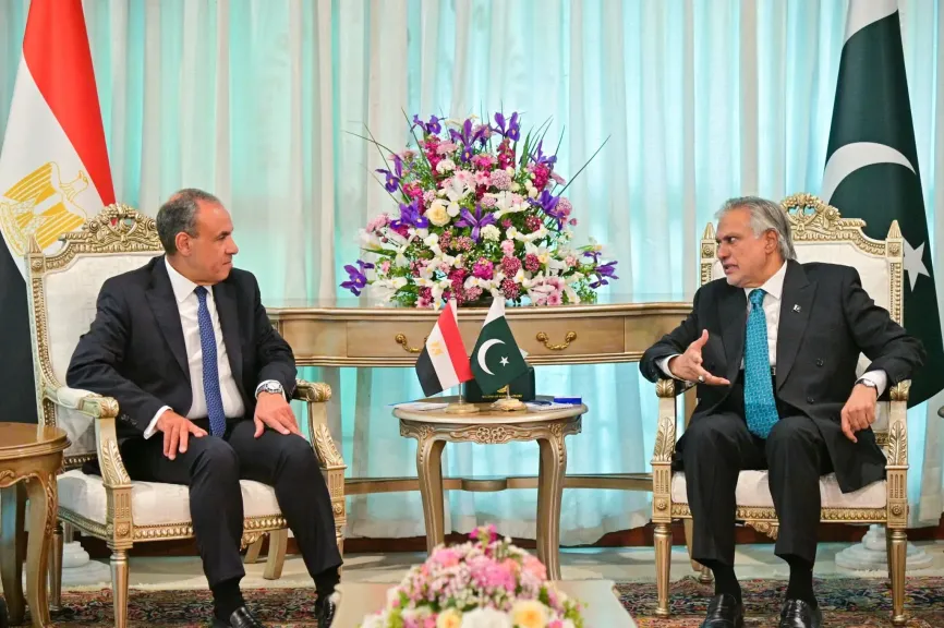 وزيرا خارجية مصر وباكستان يبحثان سبل تعزيز العلاقات الثنائية والتطورات الإقليمية