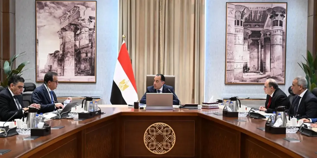 رئيس الوزراء يتابع موقف توافر المستحضرات الدوائية والخامات الفعالة بالسوق المصرية