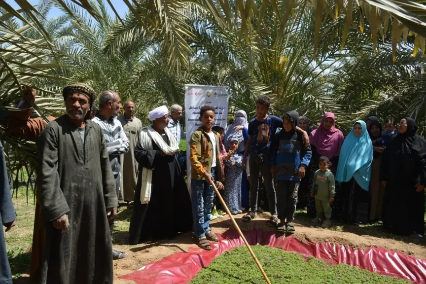 بحوث الصحراء:يطلق سلسلة ايام حقلية ولقاءات إرشادية متنوعة لدعم مزارعي الوادي الجديد