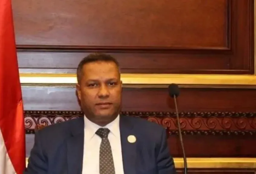 النائب محمد حمزة: إحباط مخططات حسم يؤكد جاهزية الدولة لحماية أمنها القومي