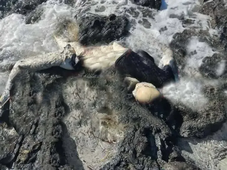 العثور على جثة مجهولة قذفتها أمواج البحر أمام سواحل سيدي براني بمطروح