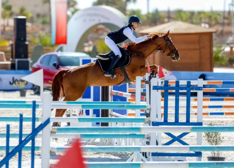 وزير الشباب والرياضة يشيد ببطولة كأس مصر للفروسية والتنظيم المتميز