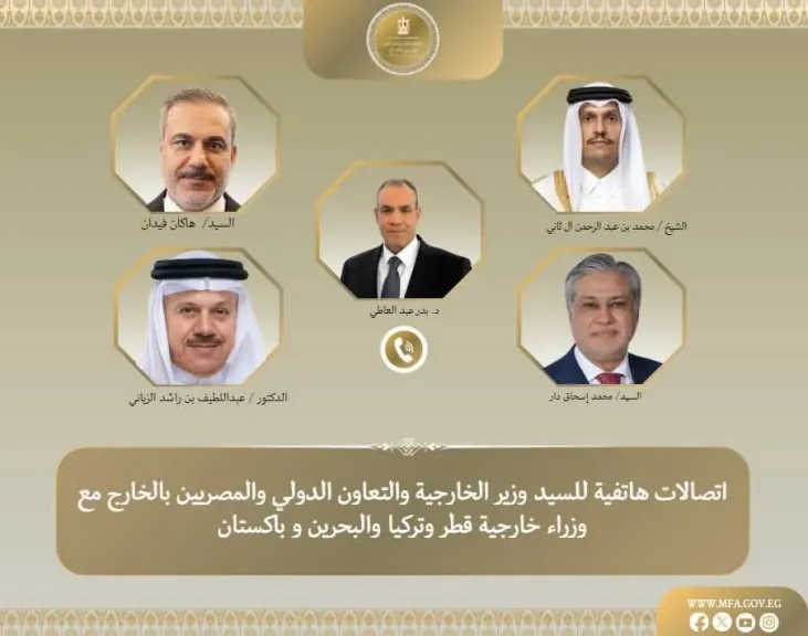 اتصالات هاتفية بين وزير الخارجية ونظرائه في تركيا وباكستان وقطر والبحرين لبحث التطورات الإقليمية