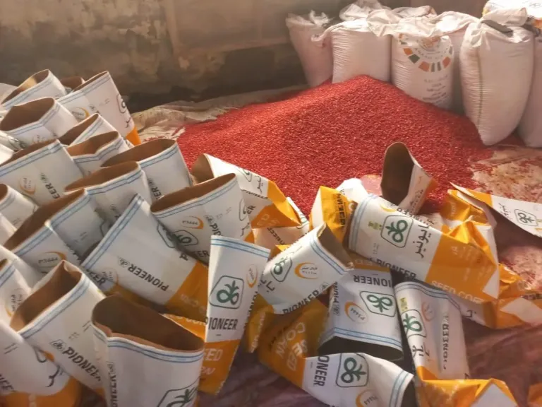 quot;الزراعةquot; تُكثف حملاتها للرقابة على الأسمدة : ضبط 6 أطنان مدعمة وتحرير محاضر بالمخالفات في النوبارية