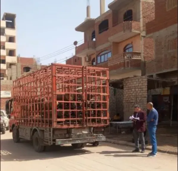 حملات رقابية على الأسواق والمخابز ومستودعات البوتاجاز في الإسماعيلية