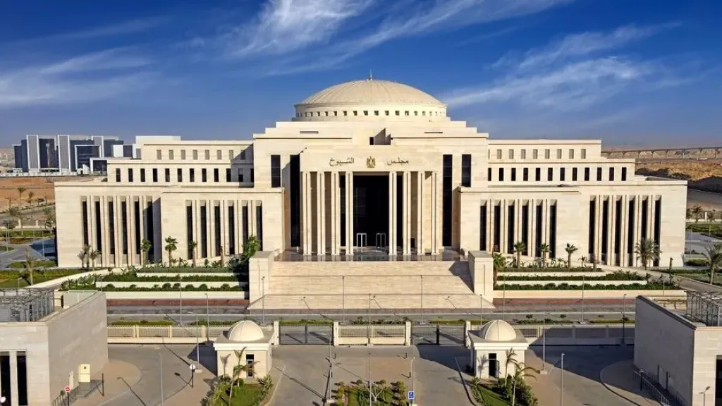 4 مسارات لإنشاء بنك الأنسجة.. مقترح برلماني لمواجهة أزمة علاج الحروق في مصر