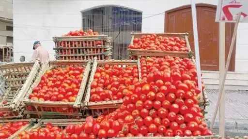 أنخفاض كبير في أسعار الطماطم والسبب يكشف عنه المتحدث الرسمي لوزارة الزراعة
