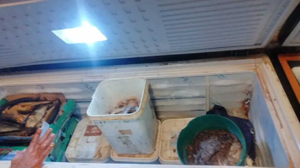 محافظ الإسكندرية: ضبط ٣٥٠ كجم أسماك مملحة غير صالحة للاستهلاك الآدمي