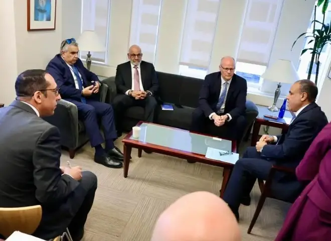 وزير الخارجية يؤكد ثوابت الموقف المصري من القضية الفلسطينية