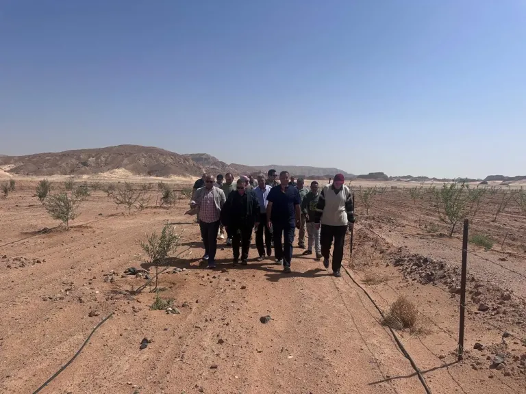 وزير الزراعة يوجه بتقديم الدعم الفني العاجل لمتضرري السيول بتجمع ..وادي سعال..سانت كاترين