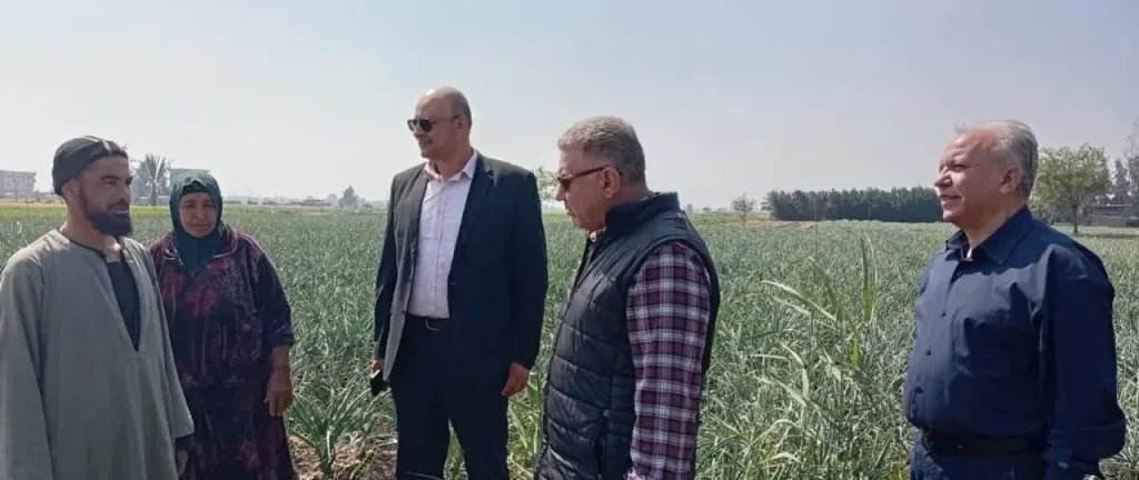 وزير الزراعة يكلف.. رئيس قطاع الخدمات بمتابعة حصاد القمح بالغربية وتذليل عقبات التوريد