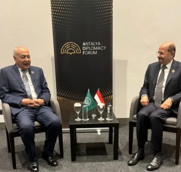 أبو الغيط يجدد تأكيد دعم الجامعة العربية للحكومة اليمنية الشرعية