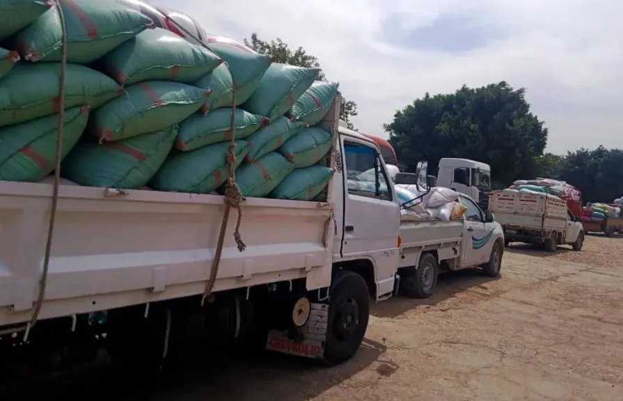 محافظ سوهاج: توريد أكثر من 1844 طن قمح للشون والصوامع خلال 4 أيام