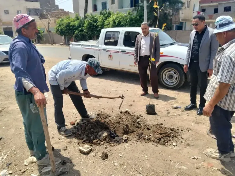 محافظ كفر الشيخ يتابع زراعة الأشجار بقلين ضمن المبادرة الرئاسية