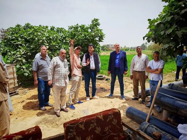الزراعة.. تتابع مشروعات تطوير الري والجمعيات الزراعية خلال جولة ميدانية بقنا