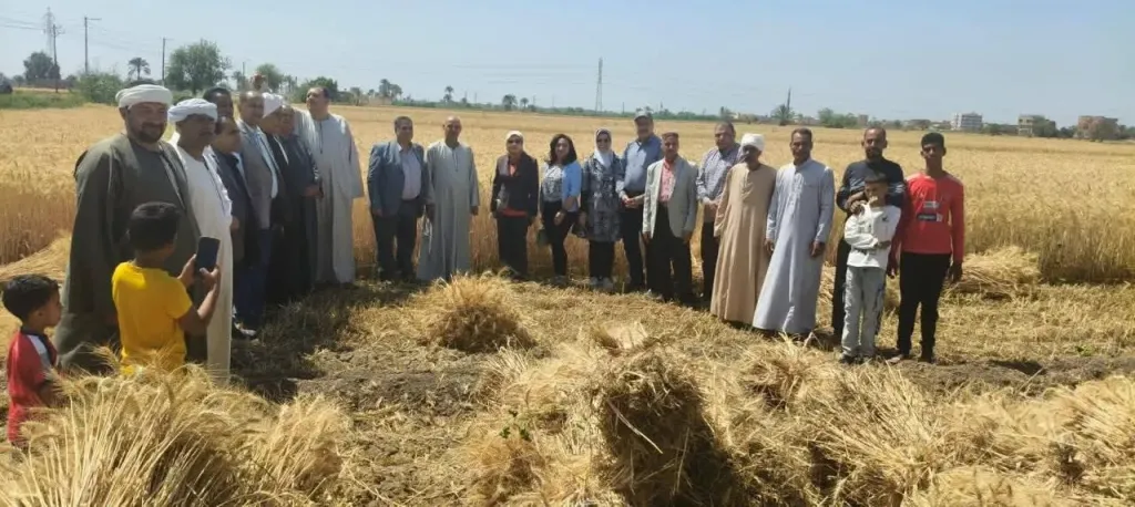 الزراعة:تتابع حصاد وتوريد القمح بالفيوم وغرف عمليات مركزية لتذليل العقبات أمام المزارعين