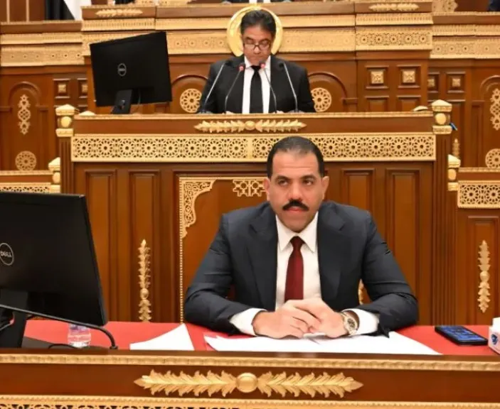 رئيس مجلس الشيوخ يحيل خطة التنمية الاقتصادية والاجتماعية لعام 2026-2027 للجان النوعية