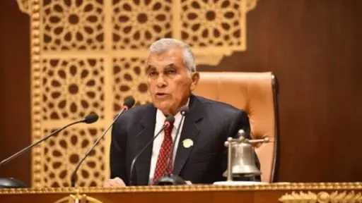 رئيس مجلس الشيوخ يرفع الجلسة ويعود غدا لمناقشة مشروع تعديل قانون التأمينات والمعاشات