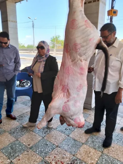 حملات رقابية موسعة بالمحافظات لمواجهة ذبح quot;البتلوquot; وخارج المجازر