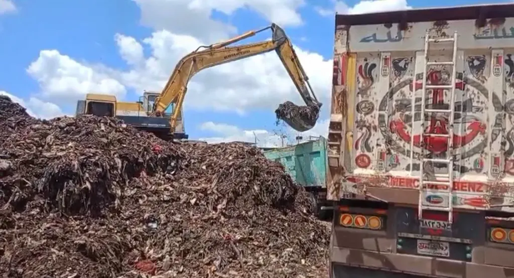 محافظ الغربية يوجه بتكثيف إزالة التراكمات التاريخية بمصنع دفرة.. ورفع 6714.83 طن من المخلفات المتراكمة