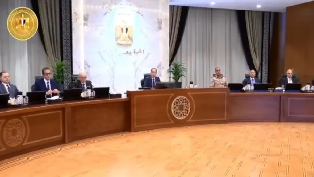 مجلس الوزراء: مشروع قانون الأسرة يبسط الإجراءات ويحمي مصلحة الطفل