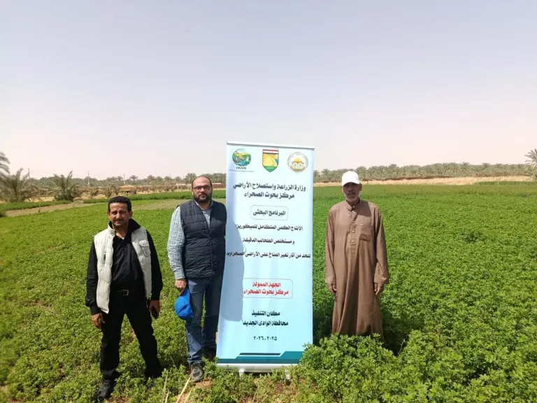 بحوث الصحراء: ينفذ 7 حقول إرشادية بالوادي الجديد لدعم الزراعة الصحراوية