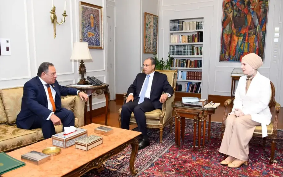 وزير الخارجية يلتقي رئيس لجنة الشئون العربية بمجلس النواب