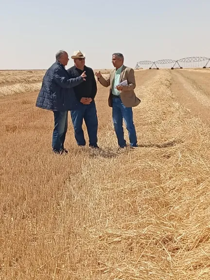 رئيس quot;البحوث الزراعيةquot; يفتتح موسم حصاد المحاصيل الاستراتيجية بمحطة الفرافرة ويُدشن
