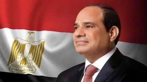 الرئيس السيسي: سيتم إضافة 450 ألف فدان للرقعة الزراعية بشبه جزيرة سيناء