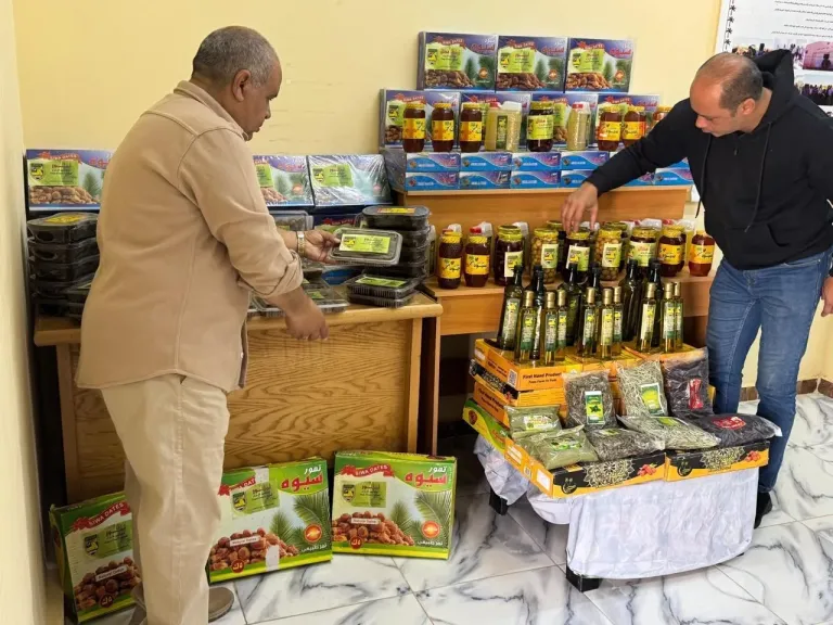بحوث الصحراء يواصل متابعة الأنشطة الإرشادية والخدمية بمحطاته البحثية بسيوة والوادي الجديد