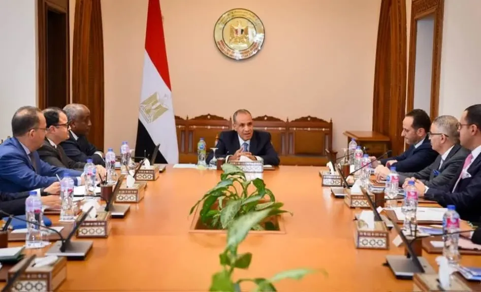 وزير الخارجية يلتقي ممثلي الشركات المصرية العاملة في أفريقيا لتعزيز النشاط الاقتصادي بالقارة