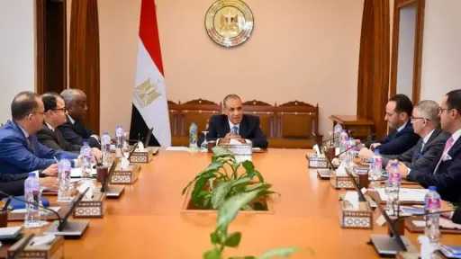 وزير الخارجية يلتقي ممثلي الشركات المصرية العاملة في أفريقيا لتعزيز النشاط الاقتصادي بالقارة